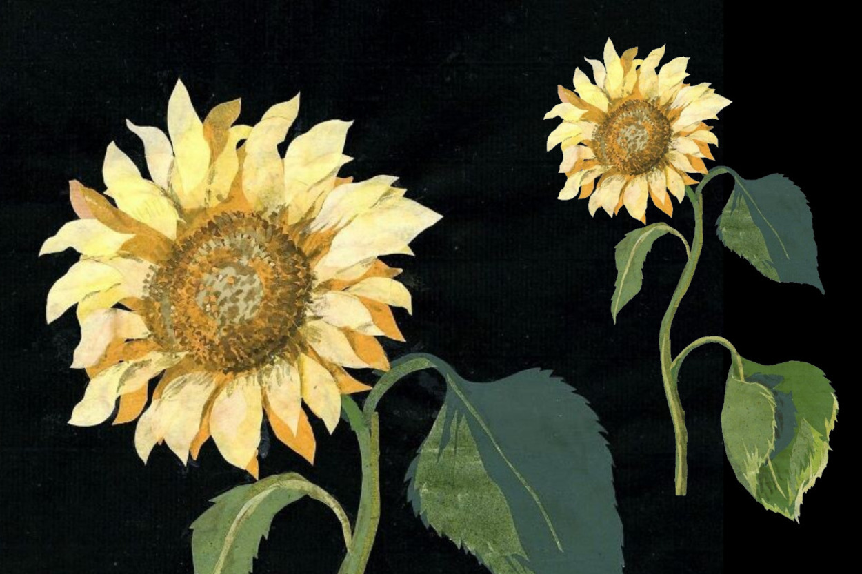 <p>Helianthus Annuus, подсолнечник. Мэри Делейни, 1772&ndash;1782 гг.</p> 